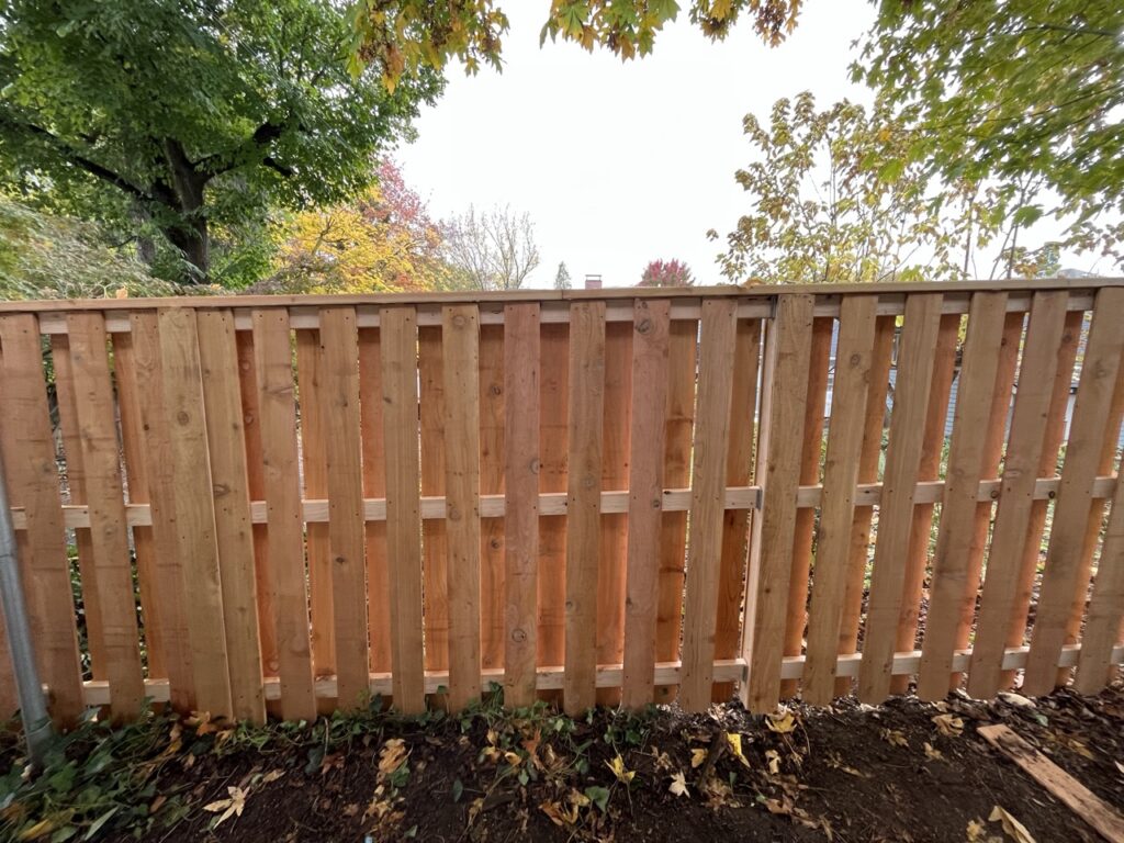 A newly built cedar shadowbox wood fence in a backyard, with fall foliage and trees behind it and a bare dirt bed scattered with autumn leaves in the foreground.