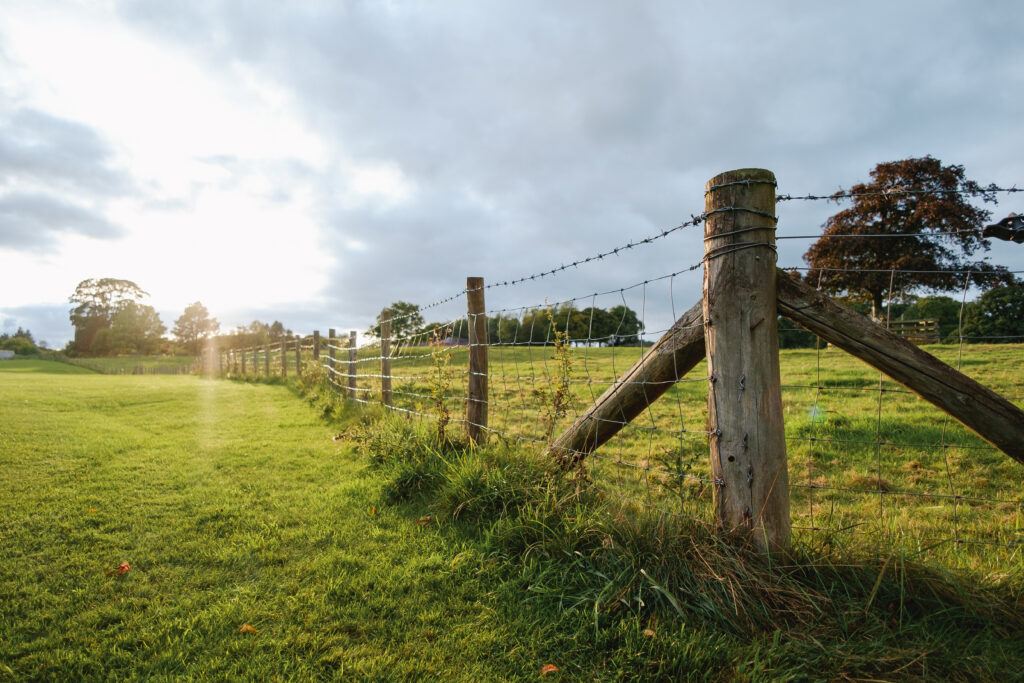 Short agricultural fence with posts in the middle of a field.