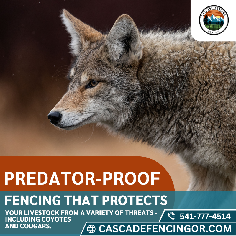 Custom predator-proof fencing installation by Cascade Fencing in Central Oregon