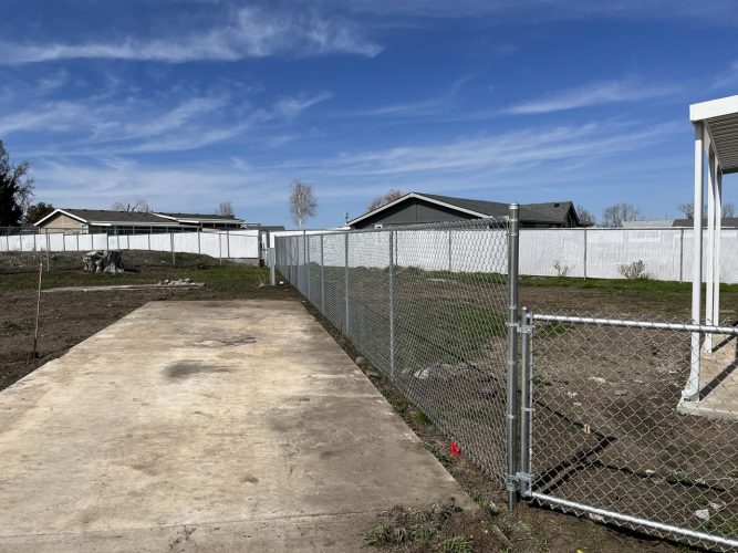 Alternate view of chain link fencing that connects to white cedar.